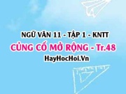 Soạn bài Củng cố, mở rộng trang 48 Ngữ văn lớp 11 Kết...